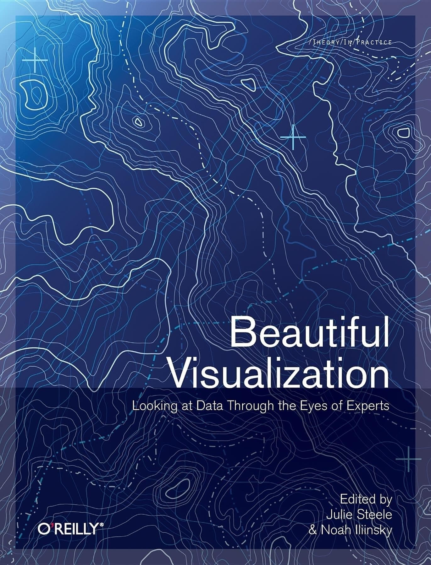 《Beautiful Visualization》封面