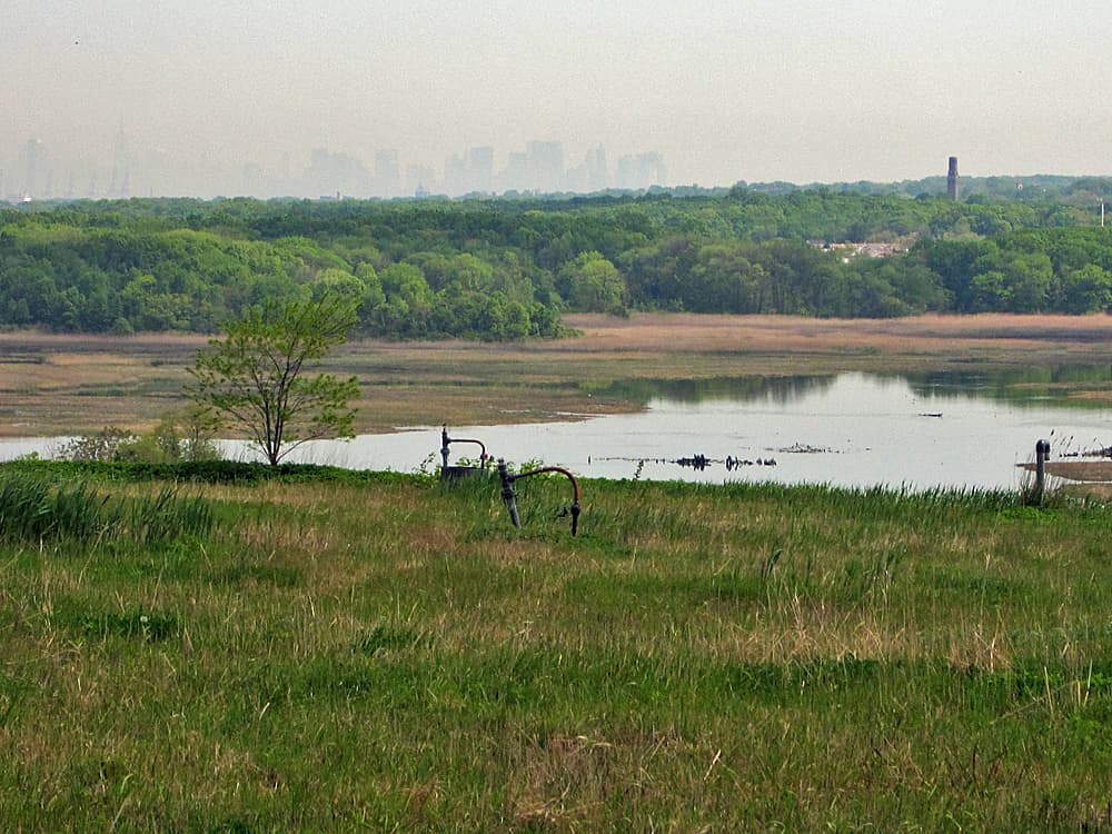 Fresh Kills Park