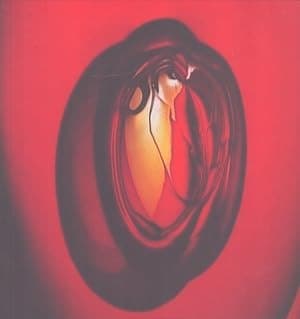 《Timo Sarpaneva: Millennium Meum》封面