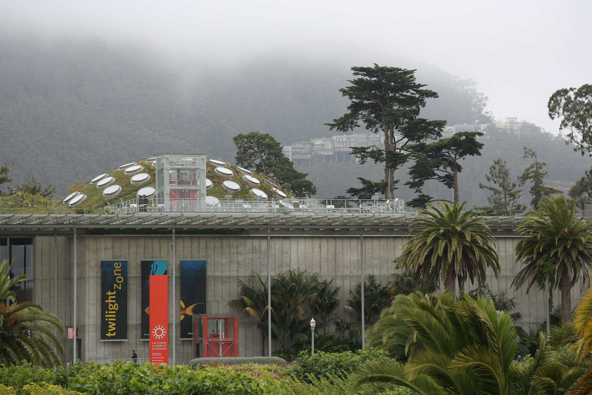 加州科学院——玻璃穹顶