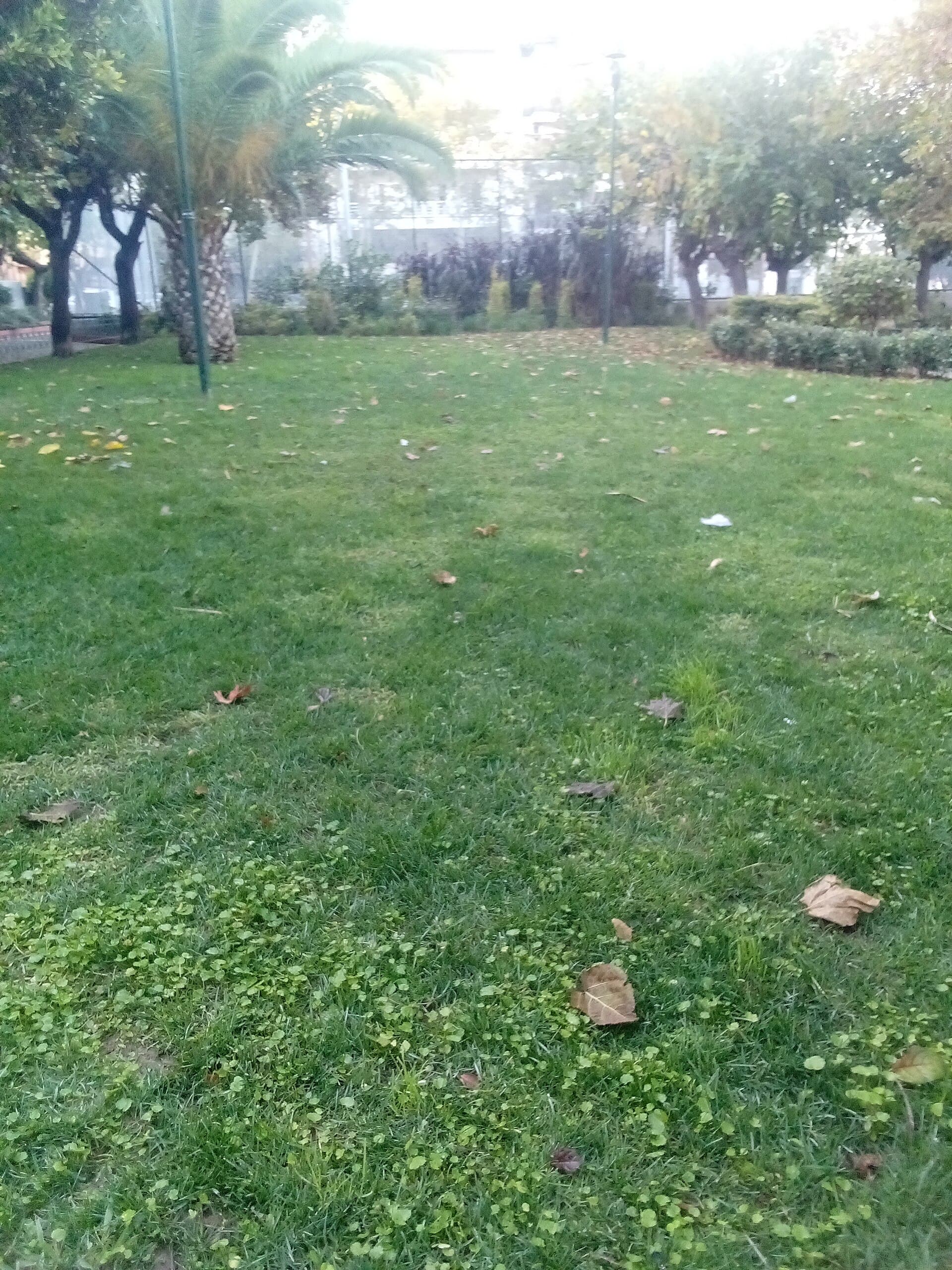 雅典——Larisis Green city park Athens Greece 3